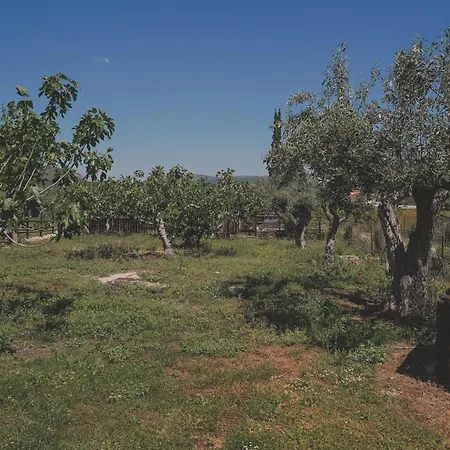 Sea House Of Apartman